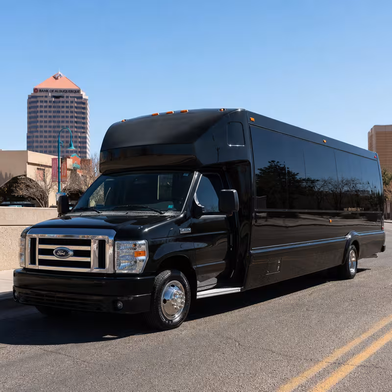 15 Passenger Party Bus