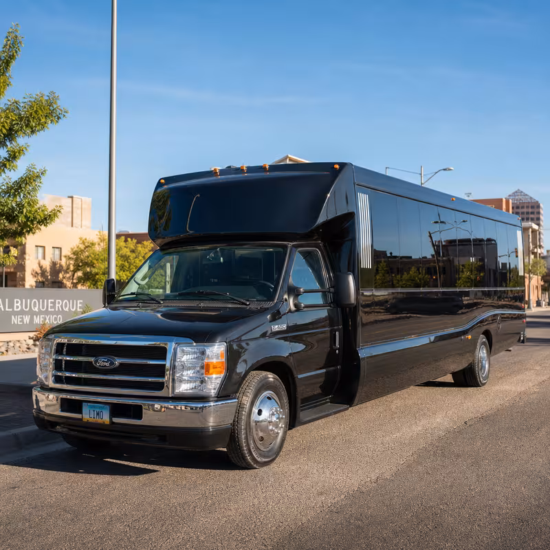 20 Passenger Party Bus