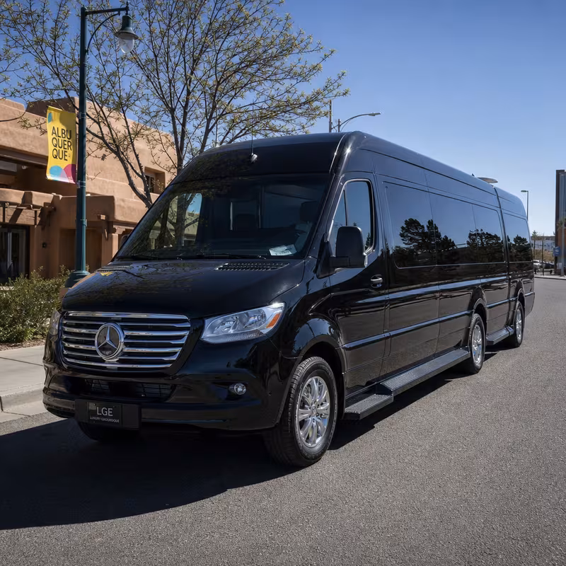 14 Passenger Sprinter Limo